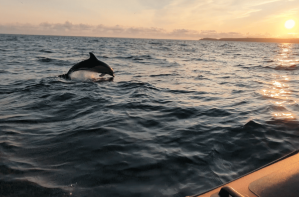 Screenshot_20230719-205430 (edited)