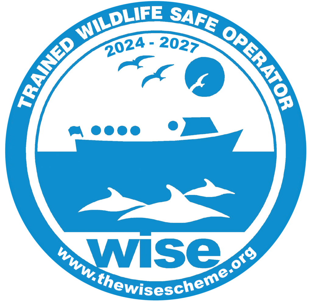 WiSe Op Logo 2024
