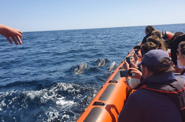 George - 20210718_145119