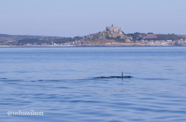 Photo 09-08-2022, 10 37 04