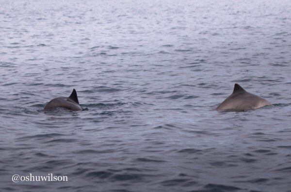 Photo 27-07-2022, 16 34 41