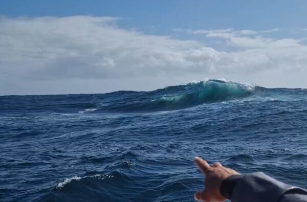 Screenshot_20240627_182514_Gallery~2