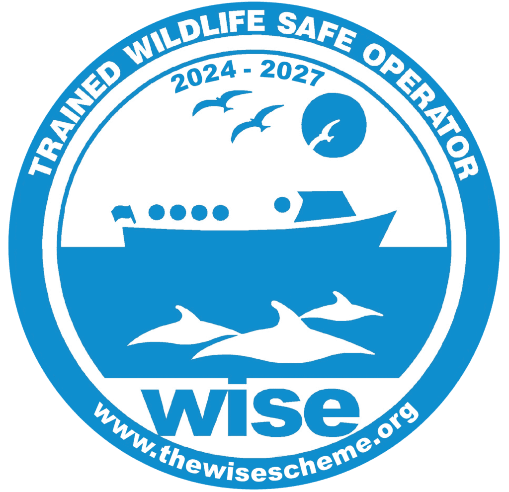 WiSe Op Logo 2024
